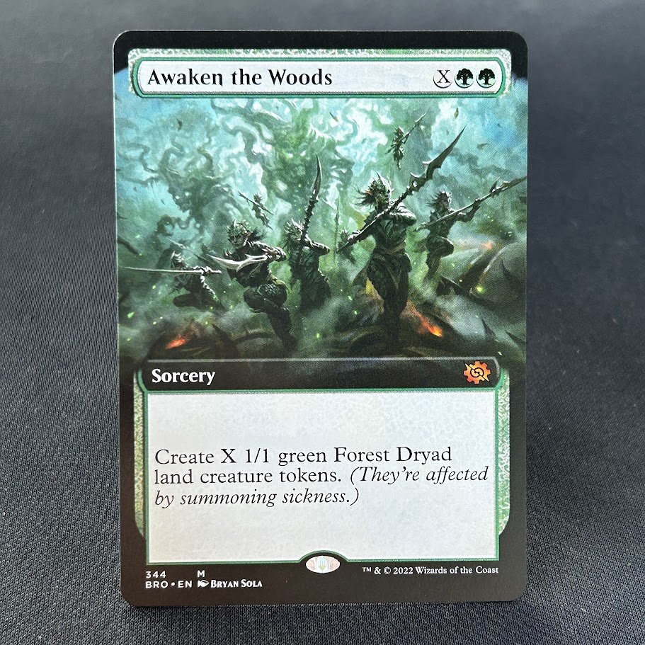 Awaken the Woods extend Awaken the Woods extend - Image 1