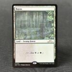 Bayou 30th holo