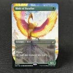 Birds of Paradise RVR 432