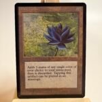 Black Lotus Beta