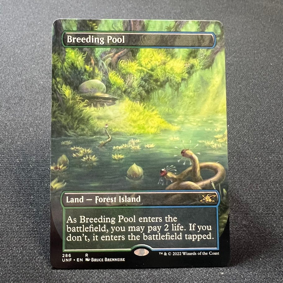 Breeding Pool UNF Breeding Pool UNF - Image 1