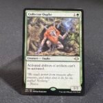 Collector Ouphe