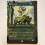 Endurance BORDERLESS