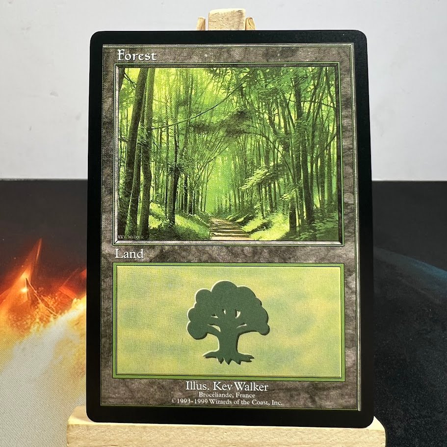 Forest (Broceliande) Forest (Broceliande) - Image 1