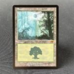 Guru Lands Forest