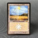 Guru Lands Plains
