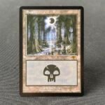 Guru Lands Swamp