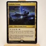 Indatha Triome regular