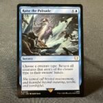 Raise the Palisade 0023 holo