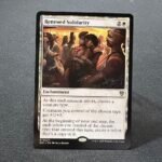 Renewed Solidarity #7