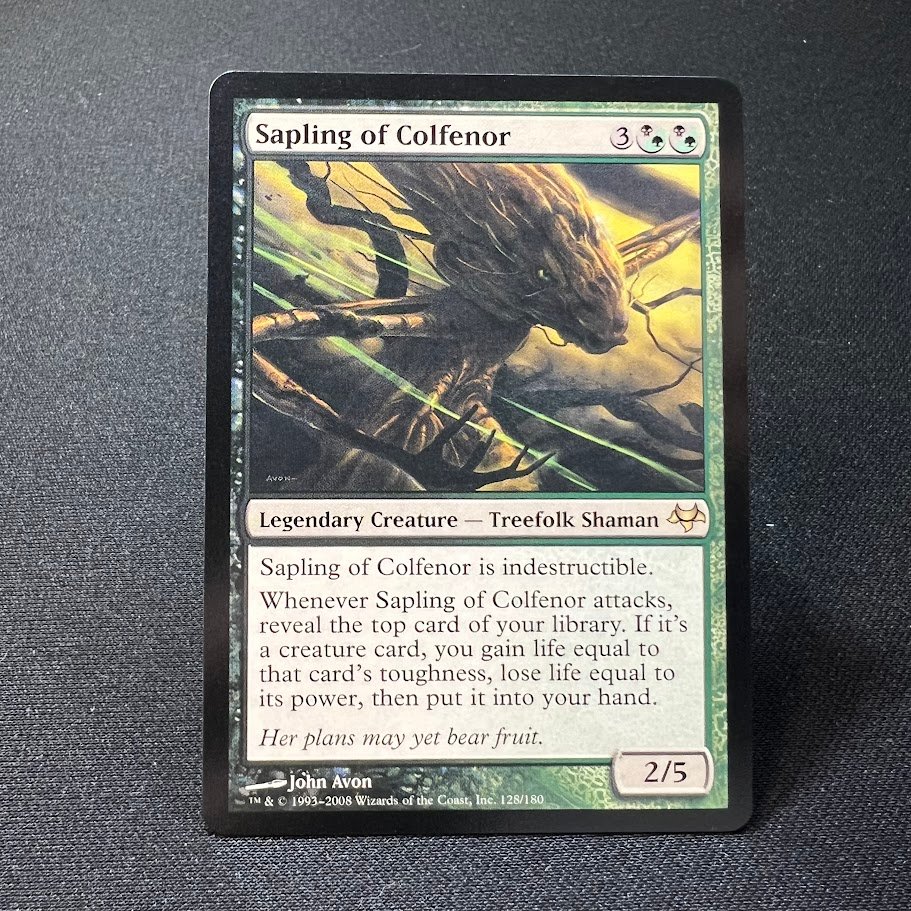 Sapling of Colfenor Sapling of Colfenor - Image 1