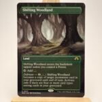 Shifting Woodland 357