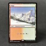 Taiga 30th holo