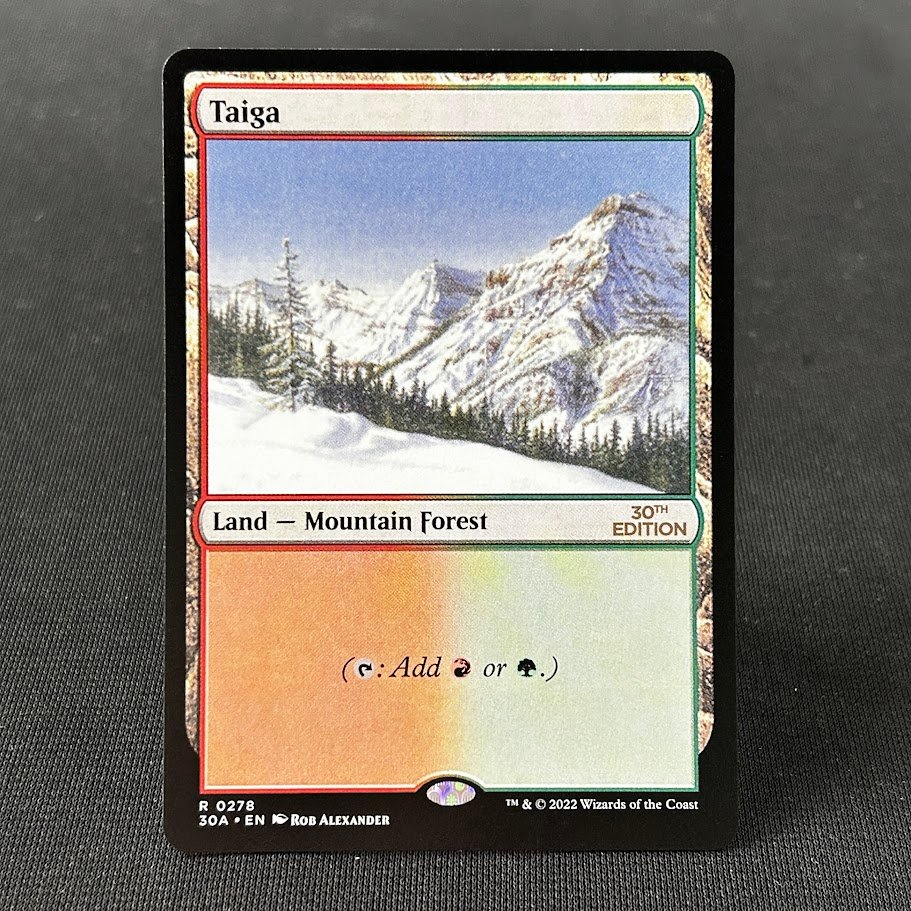 Taiga 30th holo Taiga 30th holo - Image 1