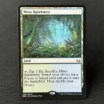Misty Rainforest MM3
