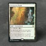 Overgrown Tomb #266
