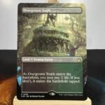 Overgrown Tomb RVR Borderless 0296