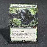 Overlord of the Hauntwoods #383