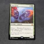 Polyraptor