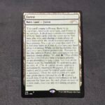 SLD FULL TEXT Forest