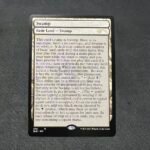 SLD FULL TEXT Swamp