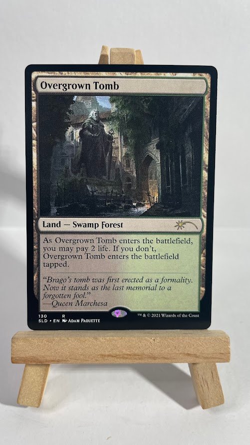 SLD Overgrown Tomb SLD Overgrown Tomb - Image 1