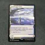 Seachrome Coast ZNE holo