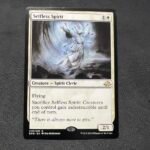 Selfless Spirit