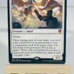Serra Paragon regular