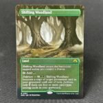 Shifting Woodland 357
