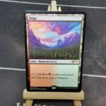 Taiga Legacy Championship 2017