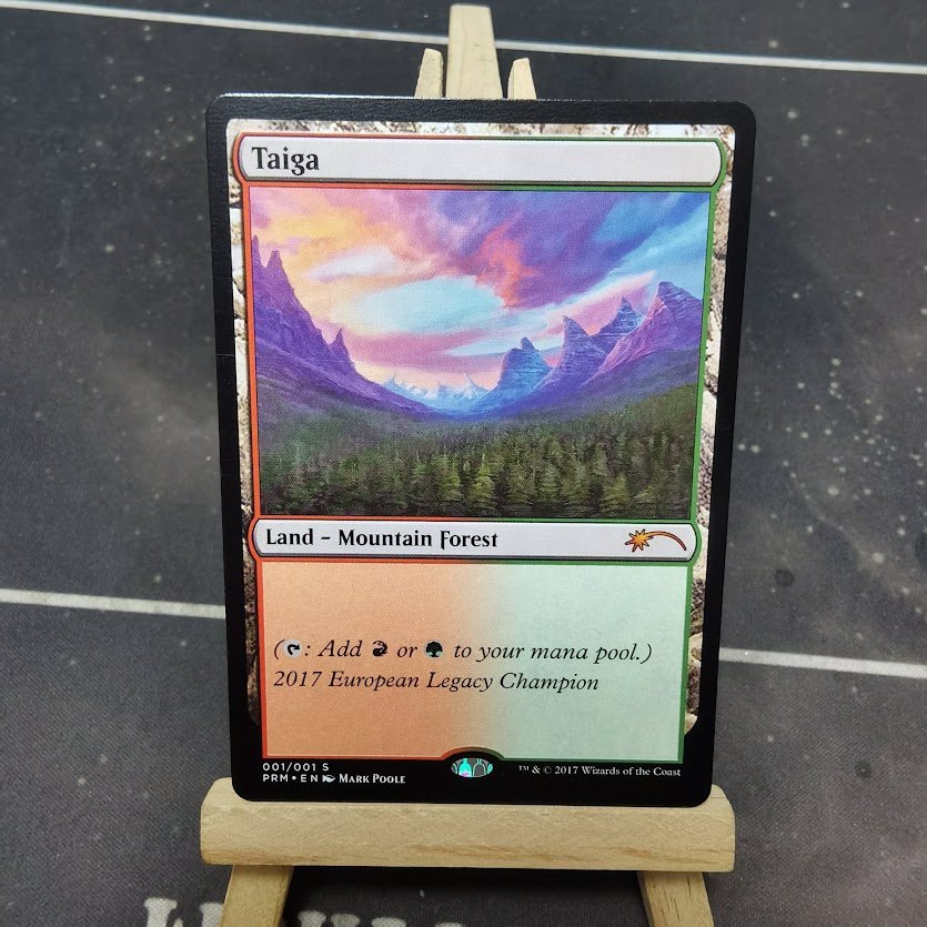 Taiga Legacy Championship 2017 Taiga Legacy Championship 2017 - Image 1