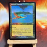 Birds of Paradise DMR retro frame foil