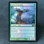 Birds of Paradise PM11 FOIL
