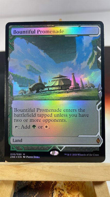 Bountiful Promenade ZNE foil Bountiful Promenade ZNE foil - Image 1