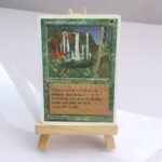 Concordant Crossroads white border