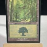 European Forest