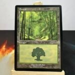 European Land Program (PELP) Forest #6