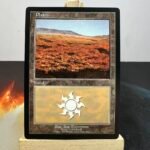 European Land Program (PELP) Plains #14
