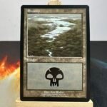 European Land Program (PELP) Swamp #10