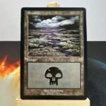 European Land Program (PELP) Swamp #15