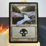 European Land Program (PELP) Swamp #5