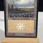 European Plains