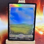 Judge gift 2014 Plains foil