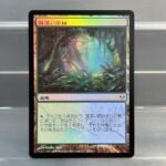 Misty Rainforest ZEN JP foil
