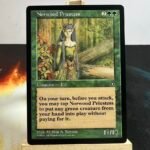 Norwood Priestess