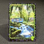 SLD 1656 Forest