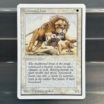 Savannah Lions Unlimited