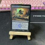 Surgical Extraction PROMOS foil