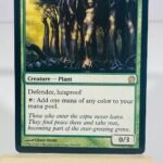 Sylvan Caryatid